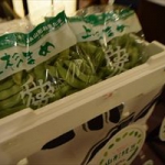山形県置賜地方生産の枝豆『上杉まめ』！！選果作業を見学させてもらったっし。